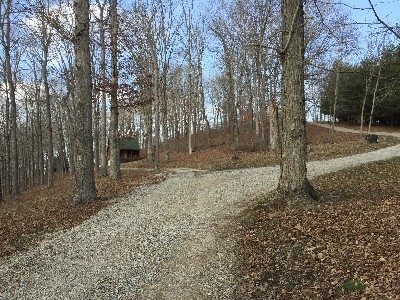 Road to Cabins - To the left is Acorn and Beechwood Cabins and to the right is Chicory and Dogwood Cabins.