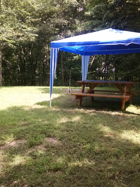 dinning canopy - camp sites include a dinning shelter canopy over the picnic table. Campsites are primitive walk-in sites.