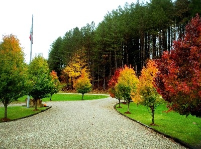 View from Driveway - The Fall at Tara Is amazing. It explodes with Color