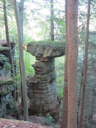Table Top Rock - This can be found about .5 miles from the cabin on a secluded trail within the State Rappelling area.