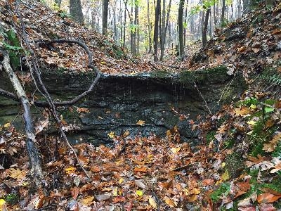 Rainy Fall Day - Enjoy gorges, creeks and seasonal waterfalls on our own private 0.5 mile hiking trail