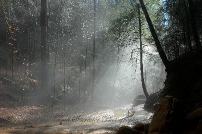 Ash Cave Misty Trail - Taken after heavy rain just before Christmas.