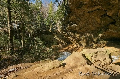 Ash Cave Panoramic - From the rim entrance. I don't often shoot in the sun out here.